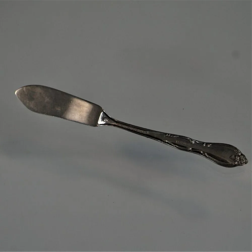 Oneida Wm A Rogers MONTCLAIR Pattern Butter Knife Vintage Stainless Floral Tip